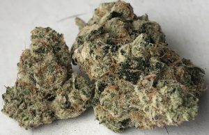 Miracle Animal Cookies (Baked DC) | Gentleman Toker