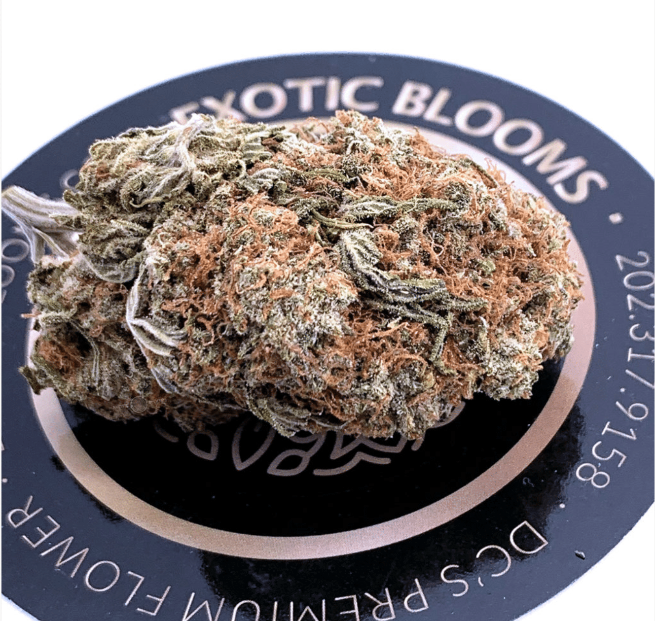 exotic blooms dc white shark og marijuana flowers image