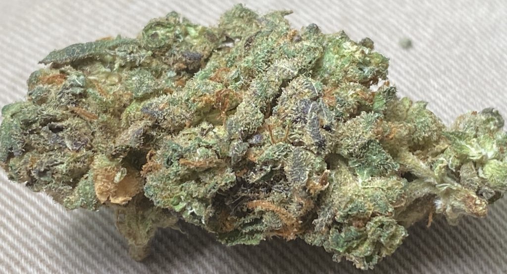 baked dc blue dream weed photo May 26 2020