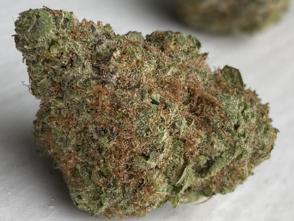 baked dc blueberry muffin weed photo