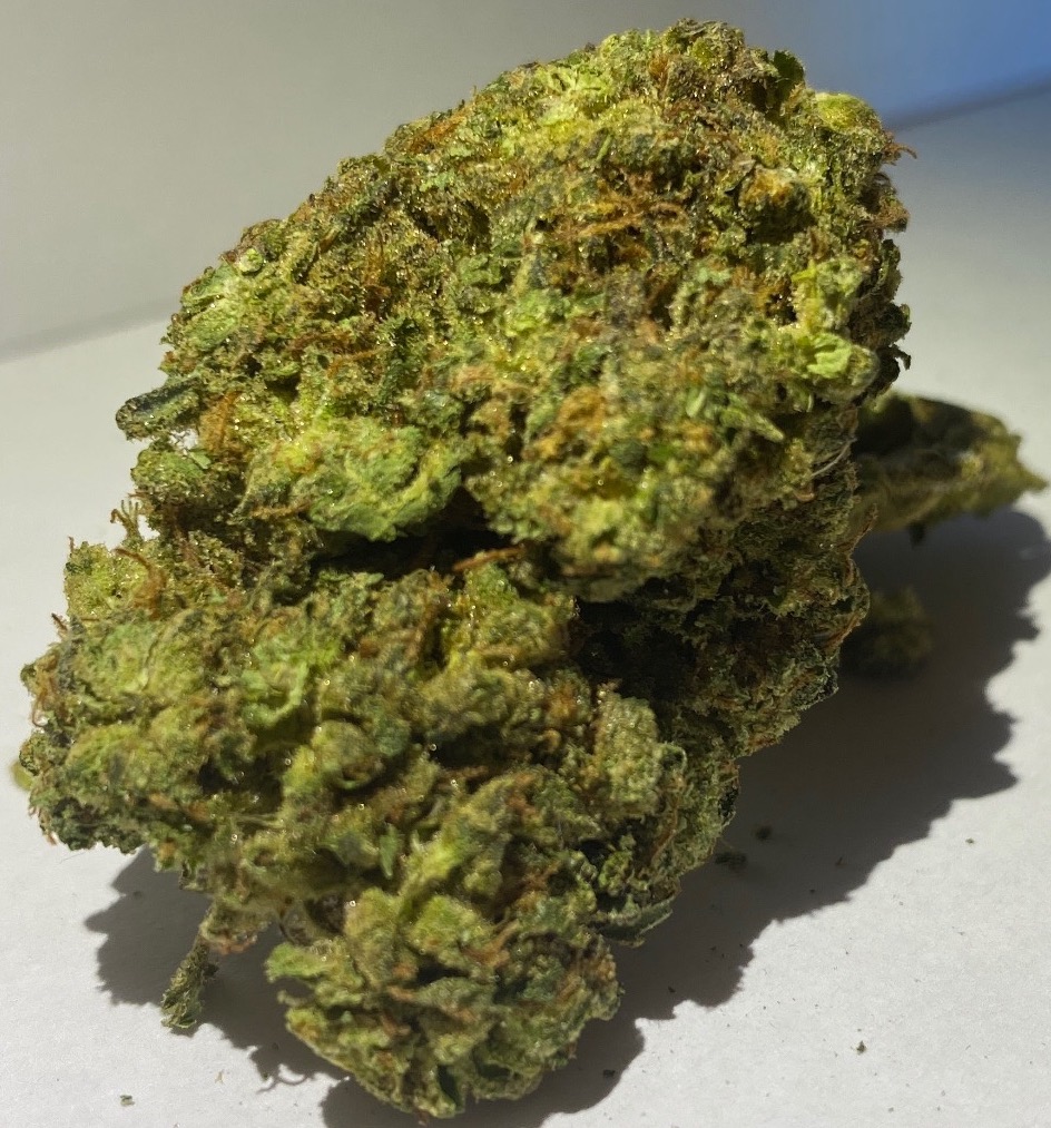 select co op dc gmo weed photo