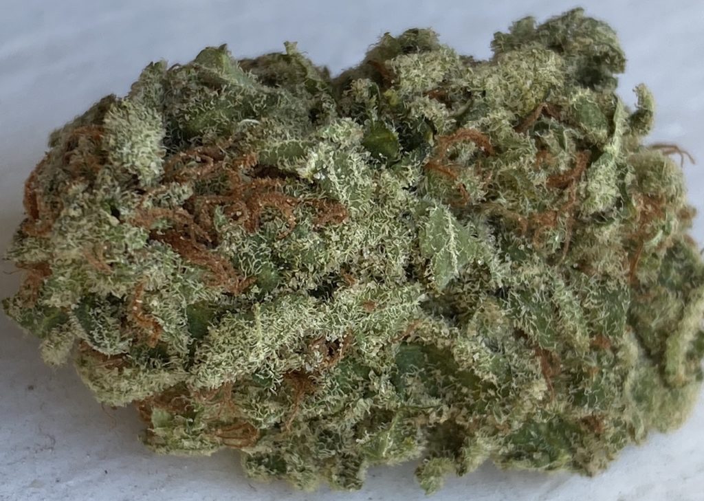 baked dc snow white weed photo