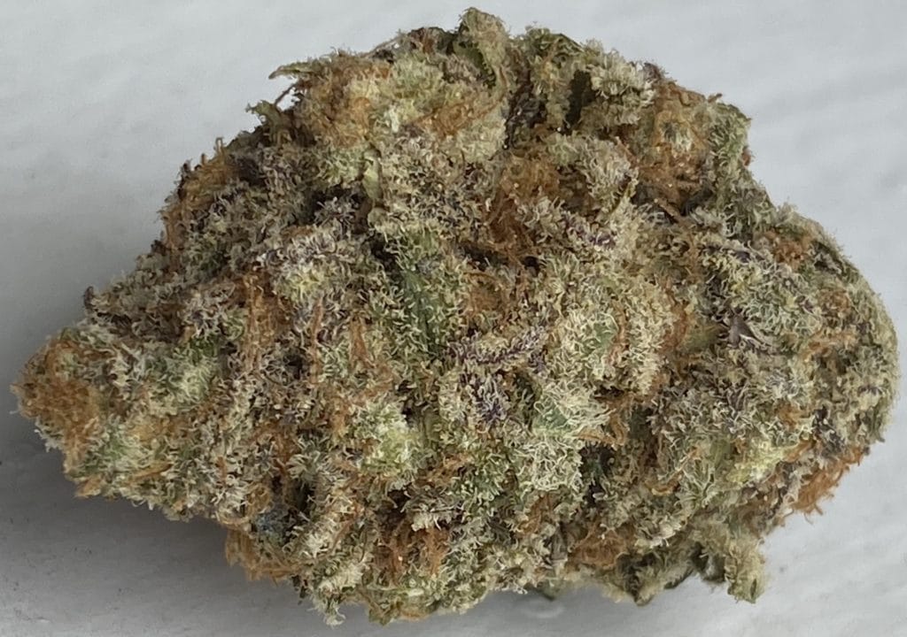 baked dc trophy wife weed photo