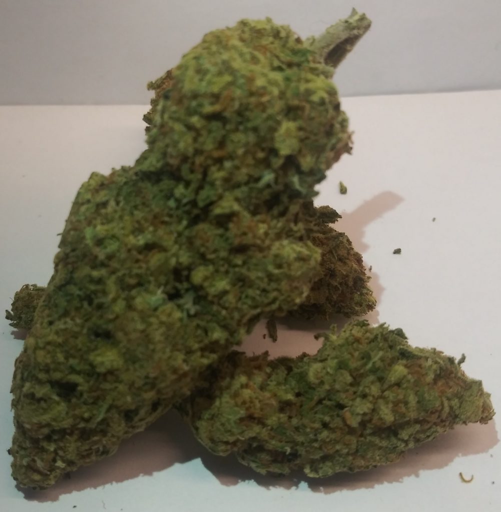 select co op dc durban delight weed photo