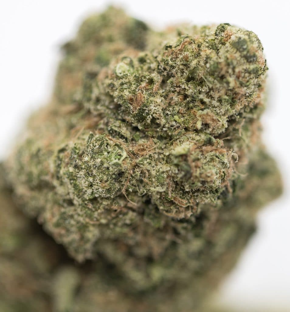 joint delivery co black hat og weed macro photo