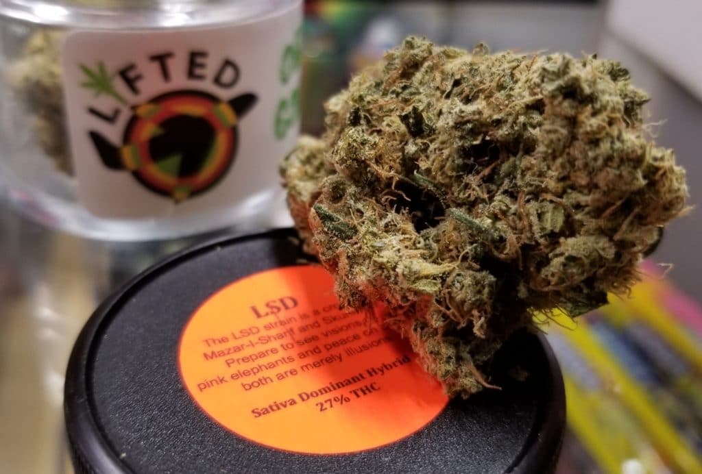 lifted shop dc lsd weed photo