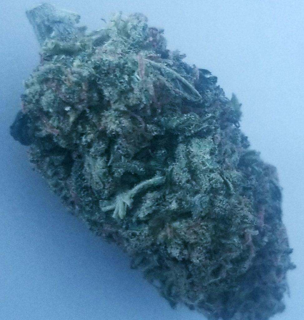 lucky chuckie dc chemdawg weed photo