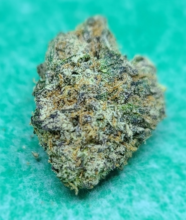 lucky chuckie dc blue dream weed photo