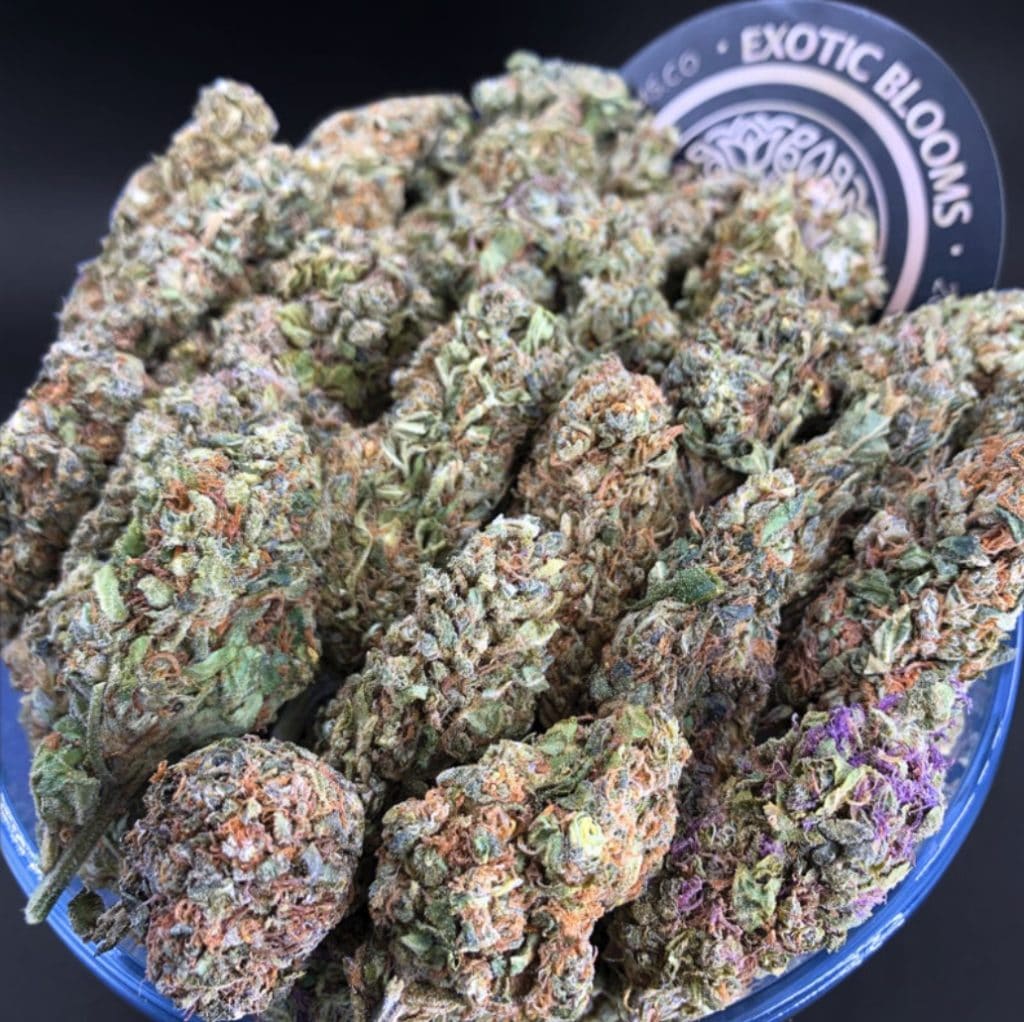 exotic blooms blue zkittlez weed photo