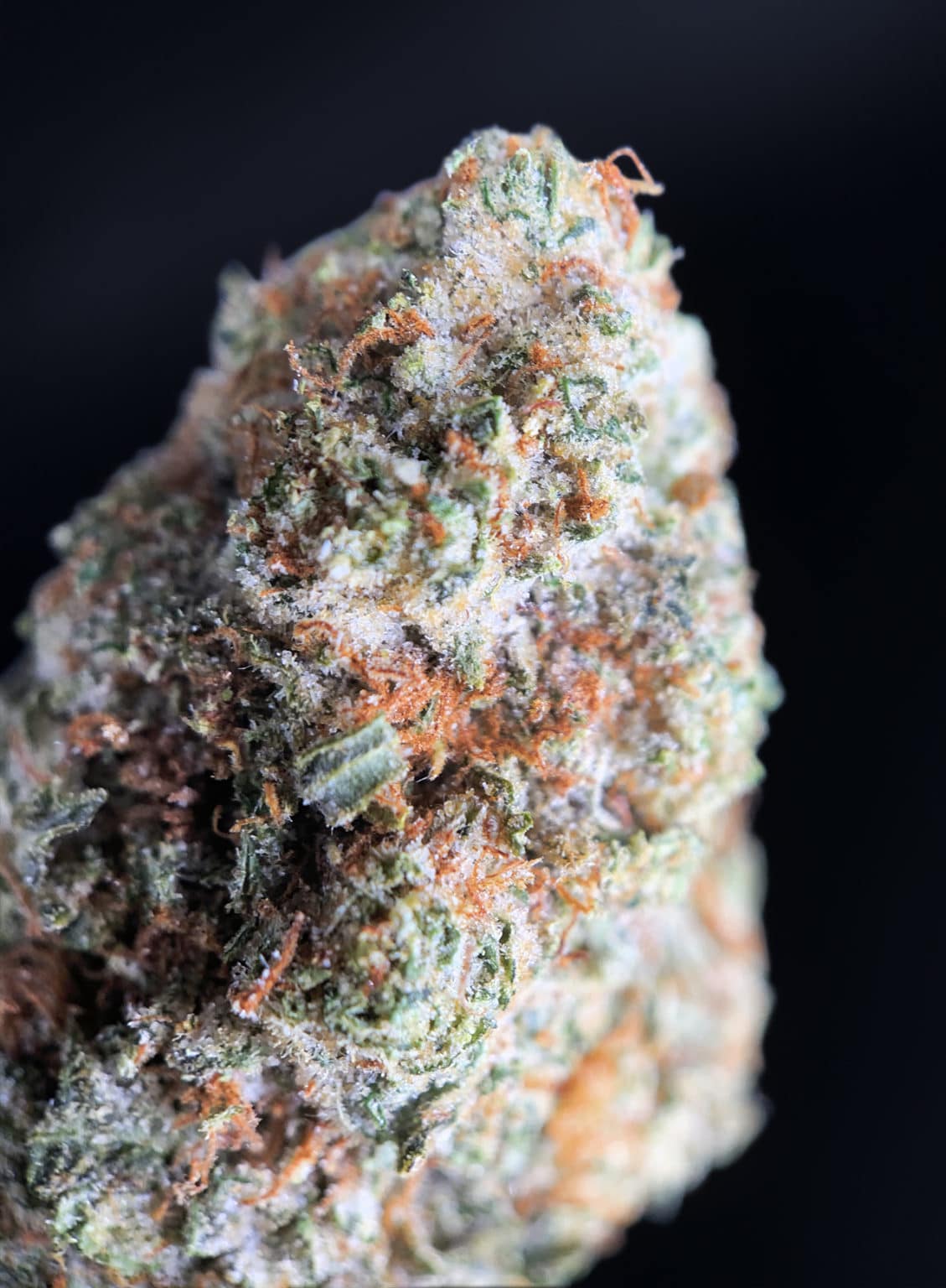 Godfather OG (Exotic Blooms) | Gentleman Toker