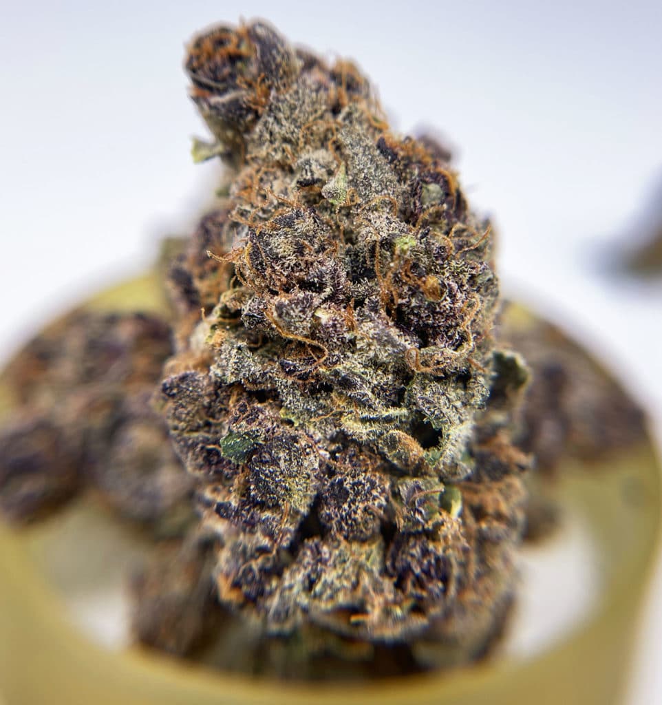 district connect dc purple tangie weed photo