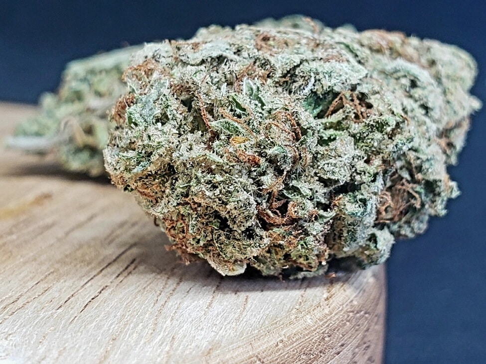lucky chuckie dc mendo breath weed photo