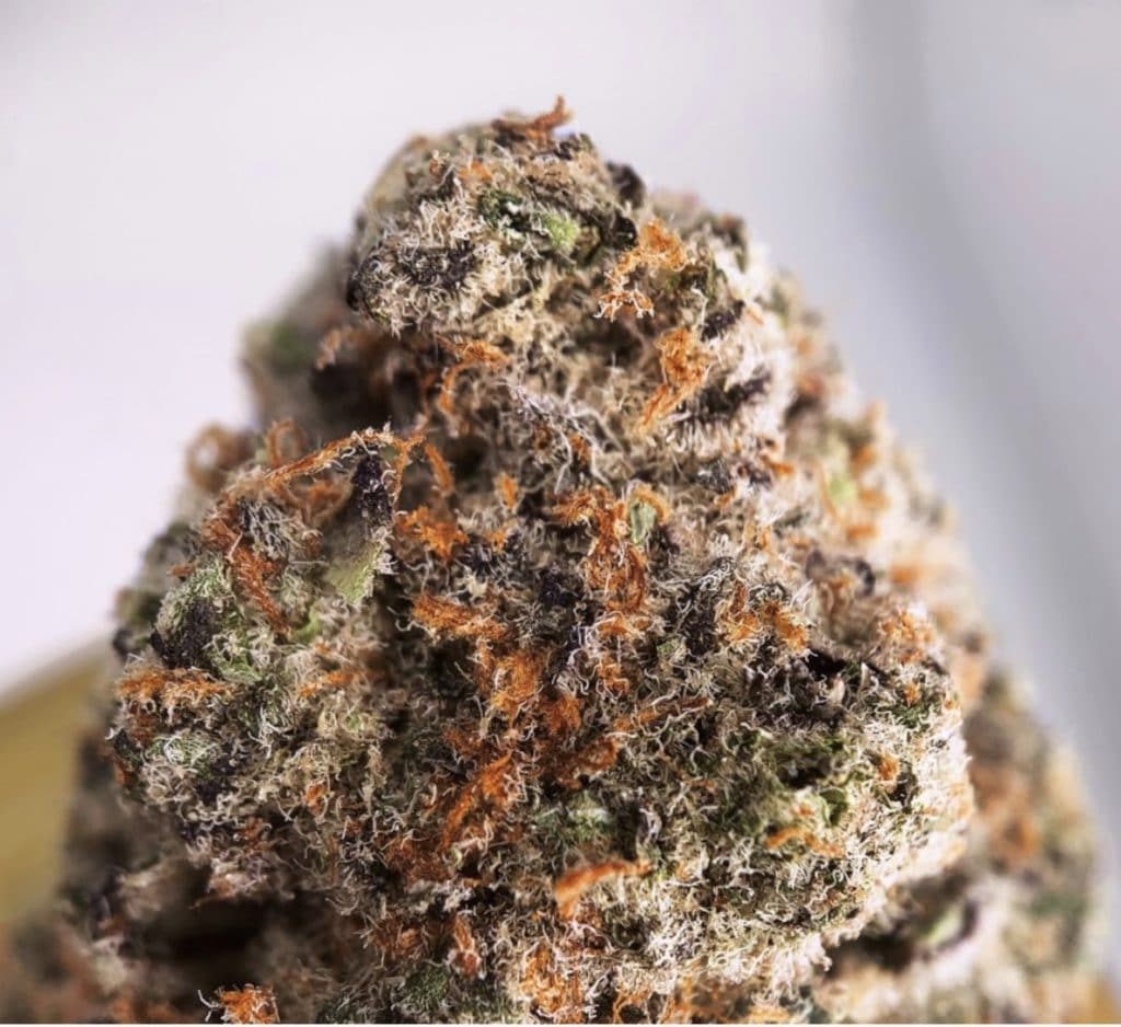 district connect dc frosted cakes weed photo