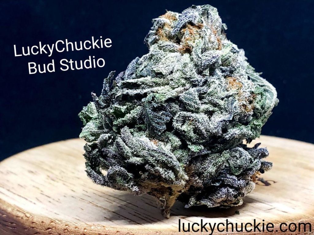 lucky chuckie dc white gold weed photo