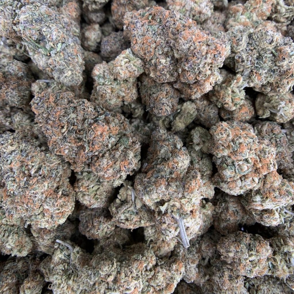 district connect purple punchsicle weed photo