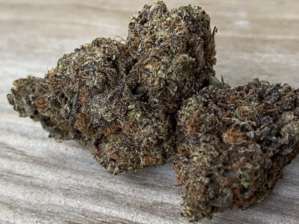 peace in the air black cherry gelato weed photo
