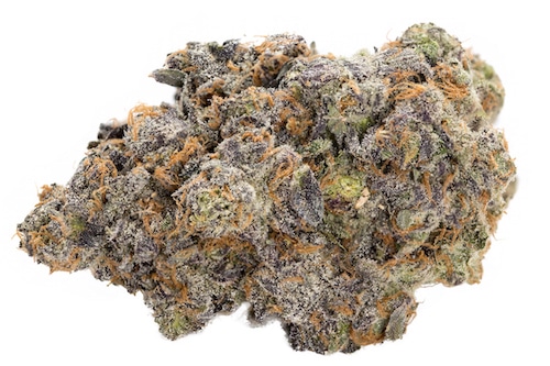 green kings apple fritter weed photo