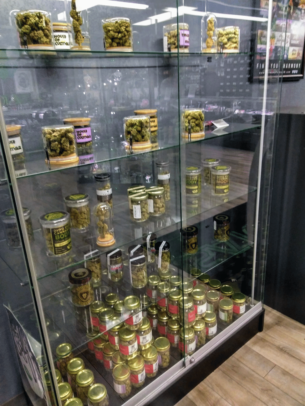 cannabis on display