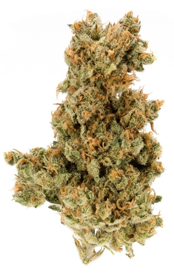 ak-49 weed photo select co-op