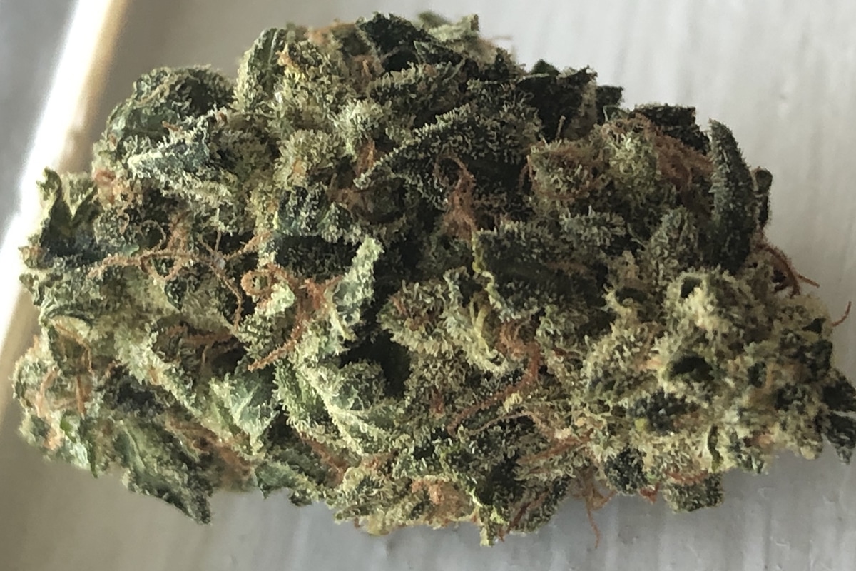 Where to Get Weed in Hawaii Full Hawaii Dispensary Review 2021