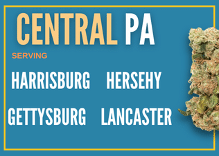 Central How to Find and Buy PA Marijuana
