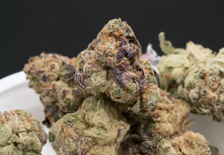 apple fritter strain cannabis photo