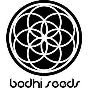 bodhi seeds cannabis logo