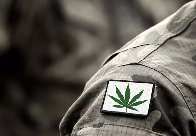 cannabis patch on military uniform photo