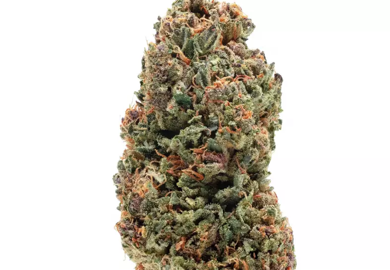 pineapple upside down cake strain cannabis photo