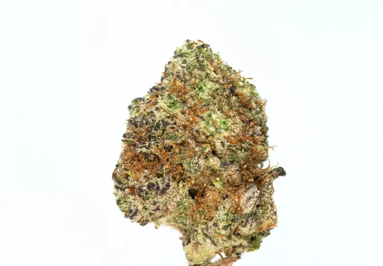 wedding crasher strain cannabis photo