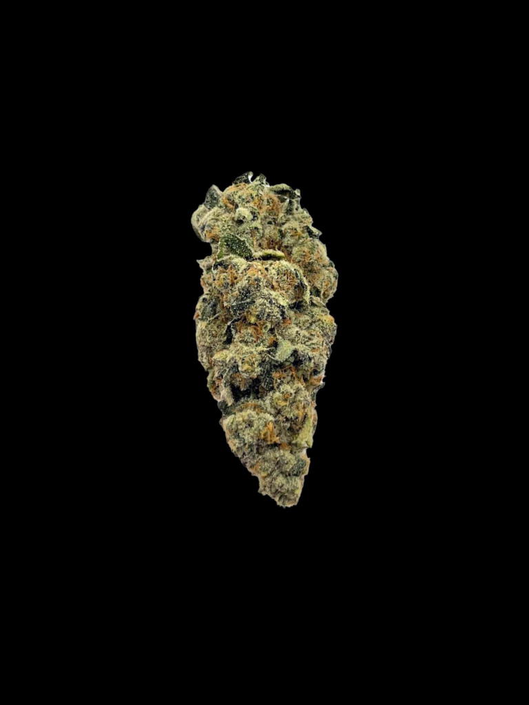 Jack Herer strain cannabis photo