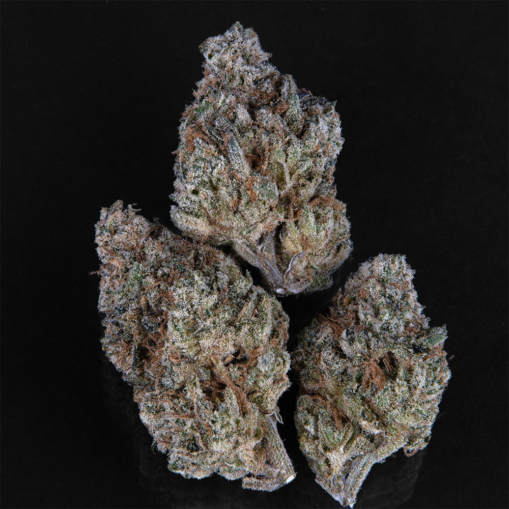 trainwreck strain cannabis photo