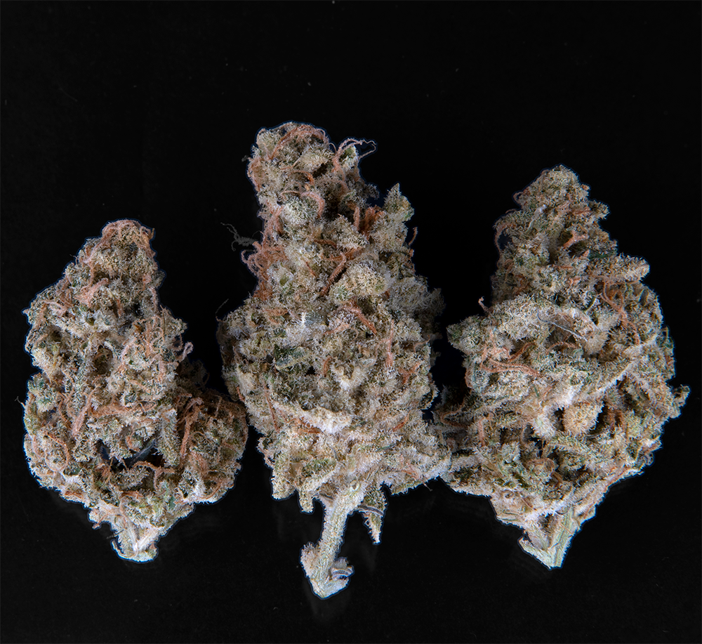 lemon royale strain cannabis photo