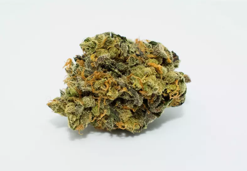 Orange Cookies | gentlemantoker.com