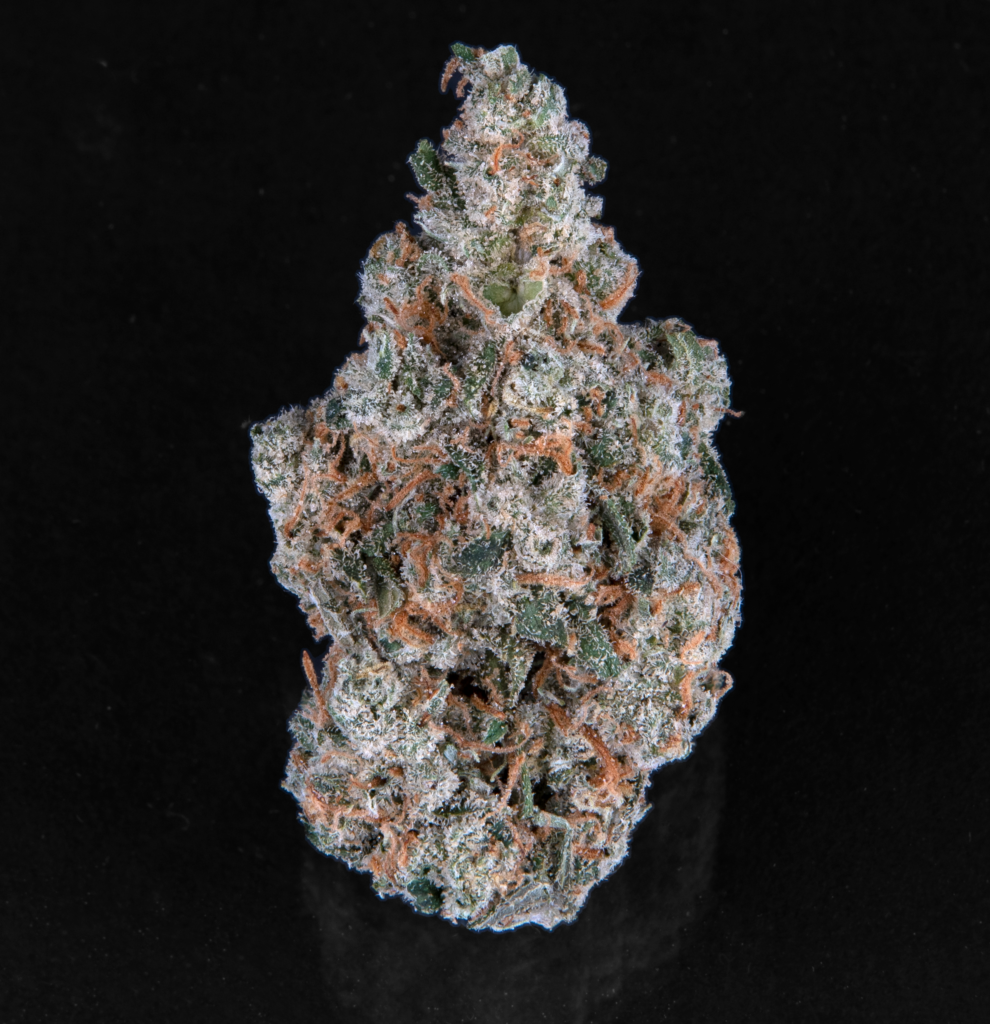 xj13 cannabis strain photo