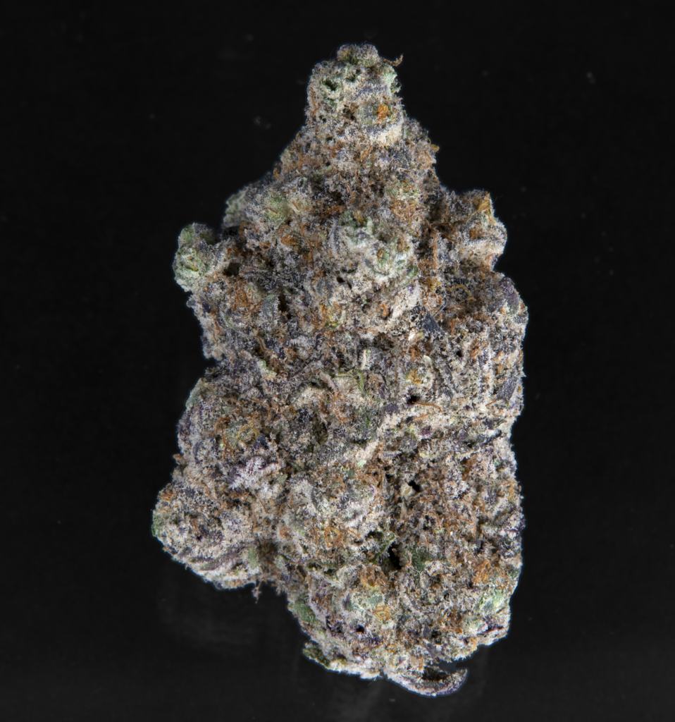 white widow cannabis strain photo
