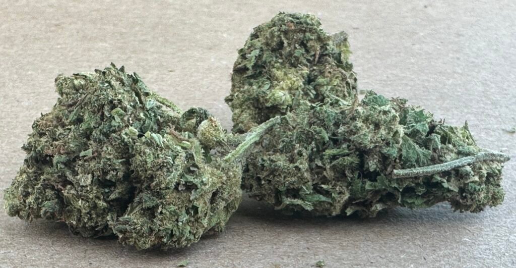 legend cannabis maryland k-kup strain photo
