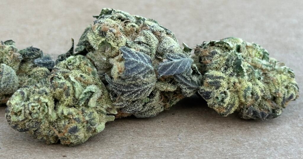 legend cannabis maryland grape slush strain photo